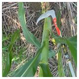 Scythe Tool,Sickle Garden Tool Long Handle.