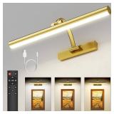 Picture Lights for Wall, 16.5in Rechargeable Art Light with Remote