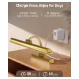 Picture Lights for Wall, 16.5in Rechargeable Art Light with Remote