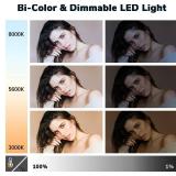 $230 D50 2-Pack 15.4" LED Video Light with Barn Door, NO Remote, 45W