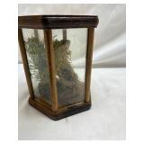 Wooden Glass Display Case