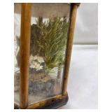 Wooden Glass Display Case