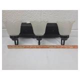 3-Light Bathroom Vanity Light Fixture