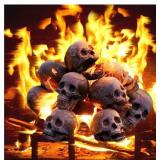 2022 New Terrifying Human Skull Fire Pit, Fireproof Imitated Human Skull Ceramic, Durable Reusable Fire Pit Skulls, Halloween Skulls Shaped Fire Stones for Fire Pits Bonfire Campfire Fireplaces (6PCS)