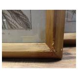 Pack of 4 ,WOOD LEAF FRAMED WALL ART (damaged) - Retail: $80