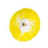 Fiore Hand Blown Art Glass Wall Decor with Floral Finial Centerpiece Yellow 14 in. Diameter