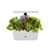 AeroGarden Harvest Lite in Cream, Soil-Free Indoor Hydroponic Garden with LED Grow Light for Year-Round Gardening of up to 6 Herbs and Vegetables