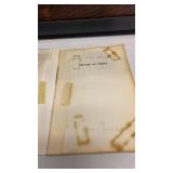 Pétalos en el viento by V. C. Andrews paperback