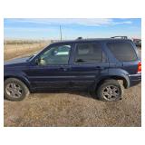 2004 Ford Escape Blue