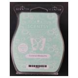 Scentsy Wax Bar Bundle - 3 Pack