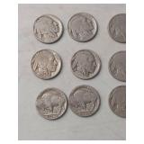 (13) Buffalo Nickel Collection