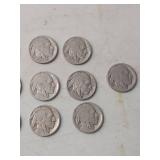 (13) Buffalo Nickel Collection