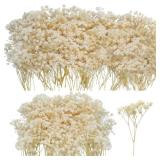 50Pcs Mini Dried Baby