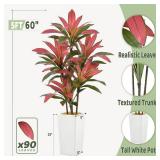 $100 Artificial Red Dracaena Tree 5FT with 6 Heads & White Tall Planter