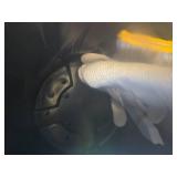 Garden Plastic Planter Pots - 12 Pcs, 2-Gallon Black Drainage