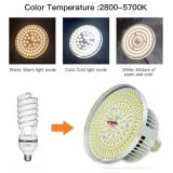 MOUNTDOG Softbox Lighting Kit, 19.7x27.5 Reflector, 45W