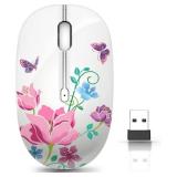 Wireless Mouse with Nano Receiver for PC, Laptop, Notebook, Computer, MacBook, Less Noise, Portable Mobile Optical Mice - Retail: $14