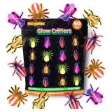 Glow Critters and Halloween Trick or Treat Glow Skeletons and Pumpkins - Glow Sticks Party Favors - Glow in The Dark Party Supplies - Retail: $15