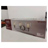 Home Decorators Collection Evelyn 60-Watt Clear Glass Shades Brushed Nickel Finish Vanity 3 Light