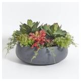 CG Hunter Faux Succulent Arrangement, Premium Artificial Indoor Plant Enhances Interior Design, Display on Any Surface in Your Home Adding an Inviting Touch of Nature, Grey Planter Pot Included - Reta