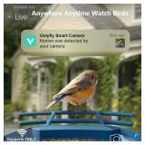 Bird Feeder with Camera Solar Powered : Smart Camera Bird Feeder 2K Live Feed Cam for Outdoor Backyard - Ai Identify Auto Capture Videos Pictures, Gifts for Birdlover Mom Dad, 2.4GHz WiFi - Retail: $2
