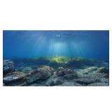 AWERT Ocean Floor Fish Tank Background Underwater Stone Aquarium Background 24x12 inches Vinyl - Retail: $7