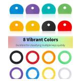 Vibit 16 Pack Colorful Plastic Key Cap Tags and Identifier Covers for Standard Flat House Keys, 2 Styles - Retail: $4
