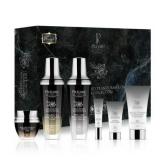 $9900 Predire Paris Black Orchid 12pc Collection