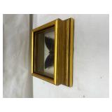 Framed Blue Butterfly Specimen Display Framed Blue Butterfly Specimen Display