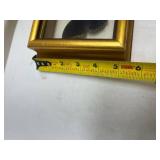 Framed Blue Butterfly Specimen Display Framed Blue Butterfly Specimen Display