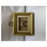 Framed Preserved Butterfly Specimen Framed Preserved Butterfly Specimen
