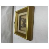 Framed Preserved Butterfly Specimen Framed Preserved Butterfly Specimen