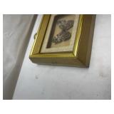 Framed Preserved Butterfly Specimen Framed Preserved Butterfly Specimen