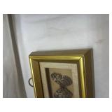 Framed Preserved Butterfly Specimen Framed Preserved Butterfly Specimen