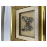 Framed Preserved Butterfly Specimen Framed Preserved Butterfly Specimen