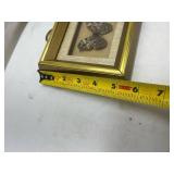 Framed Preserved Butterfly Specimen Framed Preserved Butterfly Specimen