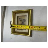 Framed Preserved Butterfly Specimen Framed Preserved Butterfly Specimen