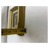 Framed Preserved Butterfly Specimen Framed Preserved Butterfly Specimen