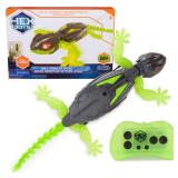 HEX BOTS Wall Crawler Gecko with Official Wall Climber Technology, Rechargeable Remote Control Robot Kids Toys, Prank Toys for Boys & Girls Ages 4 & Up