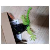 HEX BOTS Wall Crawler Gecko with Official Wall Climber Technology, Rechargeable Remote Control Robot Kids Toys, Prank Toys for Boys & Girls Ages 4 & Up