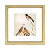 3x3 Picture Frame, Brass Metal Square Photo Frames with HD Glass, Fits 2x2 with Mat or 3 x 3 without Mat, Display for Wall and Table, 1 Pack