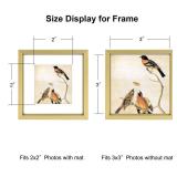 3x3 Picture Frame, Brass Metal Square Photo Frames with HD Glass, Fits 2x2 with Mat or 3 x 3 without Mat, Display for Wall and Table, 1 Pack