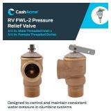 Cash Acme 3/4 Inch RV FWL-2 Pressure Relief Valve, Bronze, 150 PSI, 14737-0150