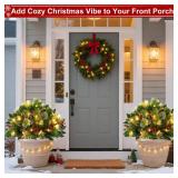 2 Pack 24\" Lighted Christmas Tree Outdoor Urn Filler with Timer 8 Modes Warm White & Multi-Color Change Lights Snowy Pinecone Berries Tripod Stake Xmas Trees Planter Filler Christmas Decor Yard Porch