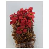 Natural Flower Bundles