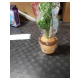 TWORIVER Valentine Gifts for Kids Baby Toys 0-6 3-6 6-12 12-18 Months Dancing Talking Cactus, Toddler Boys Girls Gifts for 2 3 4 5 6 7 8 9 10 Month Old Baby Toys for 1 Year Old Boy Girl