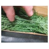 Hananona Artificial Pine Branches, Christmas Faux Cedar Stems, Artificial Faux Cedar Branches, Fake Christmas Greenery Pine Picks for Wreath Craft DIY Home Kitchen Decorations  Green