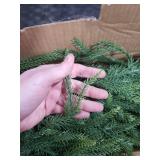 9 FT Real Touch Norfolk Pine Garland, Artificial Christmas Greenery Garlands, Green Realistic Garland Faux Norfolk Pine Garlands for Mantle Table Fireplace Stairs Railing Indoor Outdoor Xmas Decor
