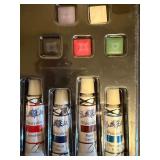 Chinese Brush Painting Kit (new)