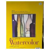 Plastic Tote w/ Paint, Watercolor Cold Press and Artist Brushes